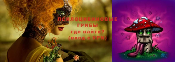 дживик Магас