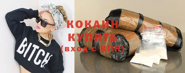 крисы Магадан