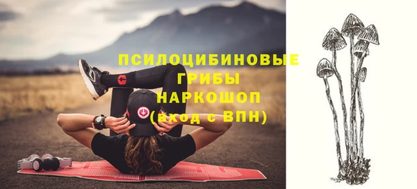 дживик Магас
