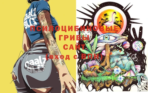 дживик Магас