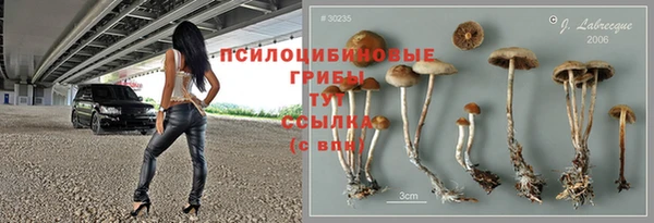 крисы Магадан