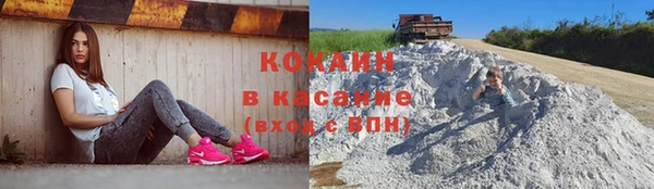 крисы Магадан