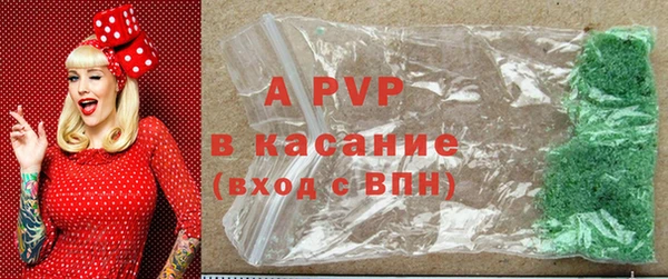 дживик Магас