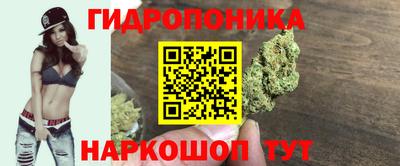 МДПВ Заводоуковск