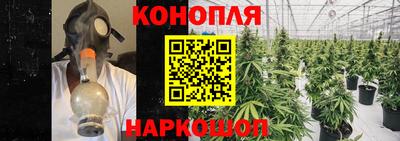 МДПВ Заводоуковск