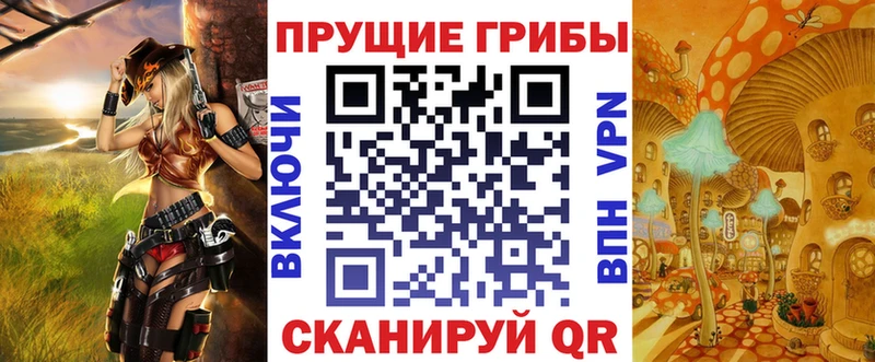 где купить   Москва  Псилоцибиновые грибы Psilocybine cubensis 