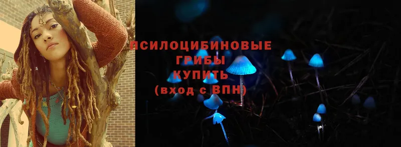 Псилоцибиновые грибы MAGIC MUSHROOMS  Москва 