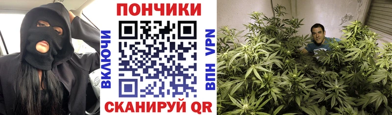 наркотики  гидра ссылки  Бошки Шишки THC 21%  Москва 